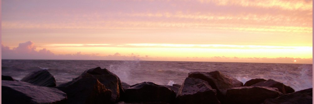 Netjerit's profile banner image