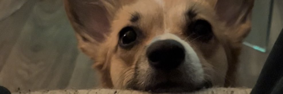 SScarsavanah's profile banner image