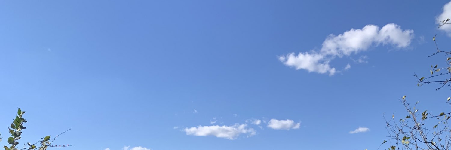justanotherdink's profile banner image