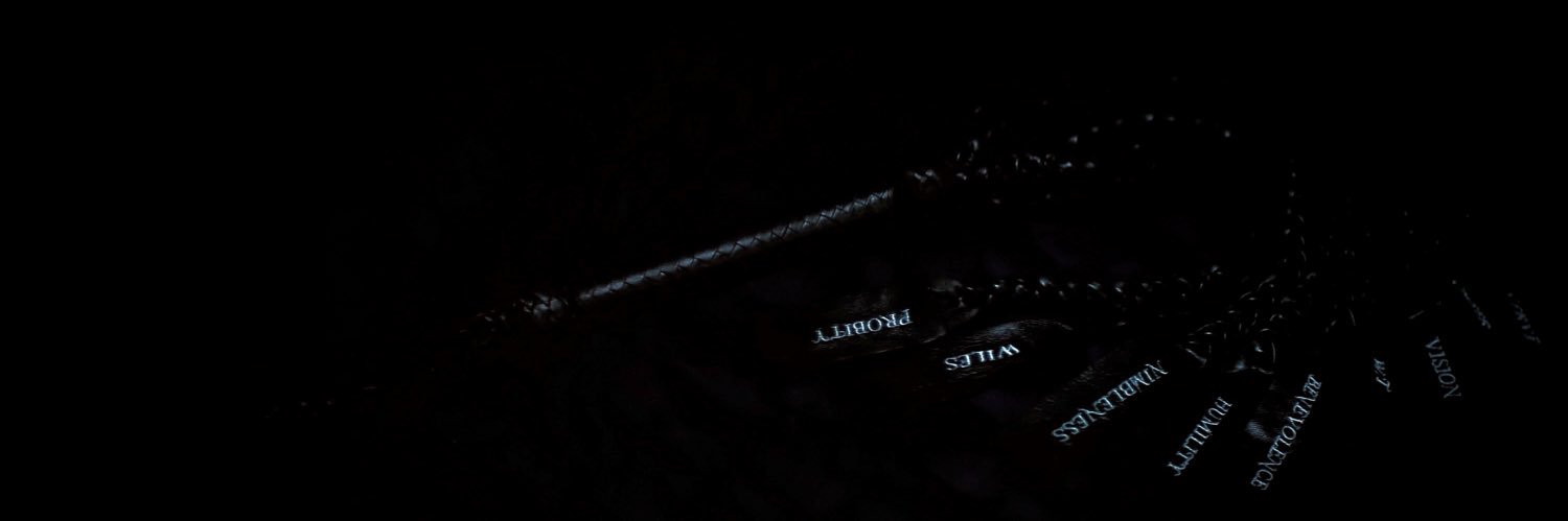 dykingtons's profile banner image