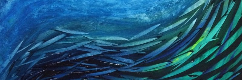 dejmi banner