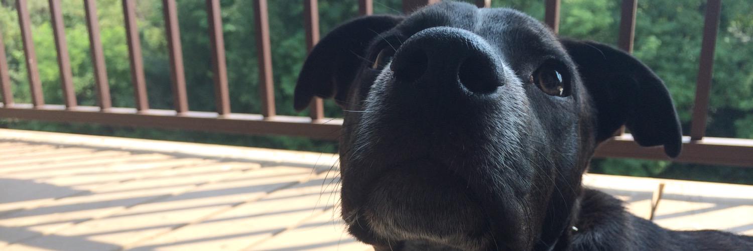 Smoovee23's profile banner image
