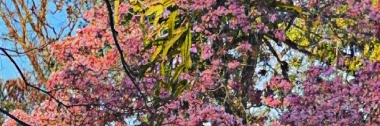 Aaronw954's profile banner image