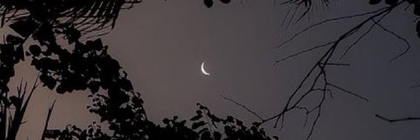 Zerlox_ Profile Banner