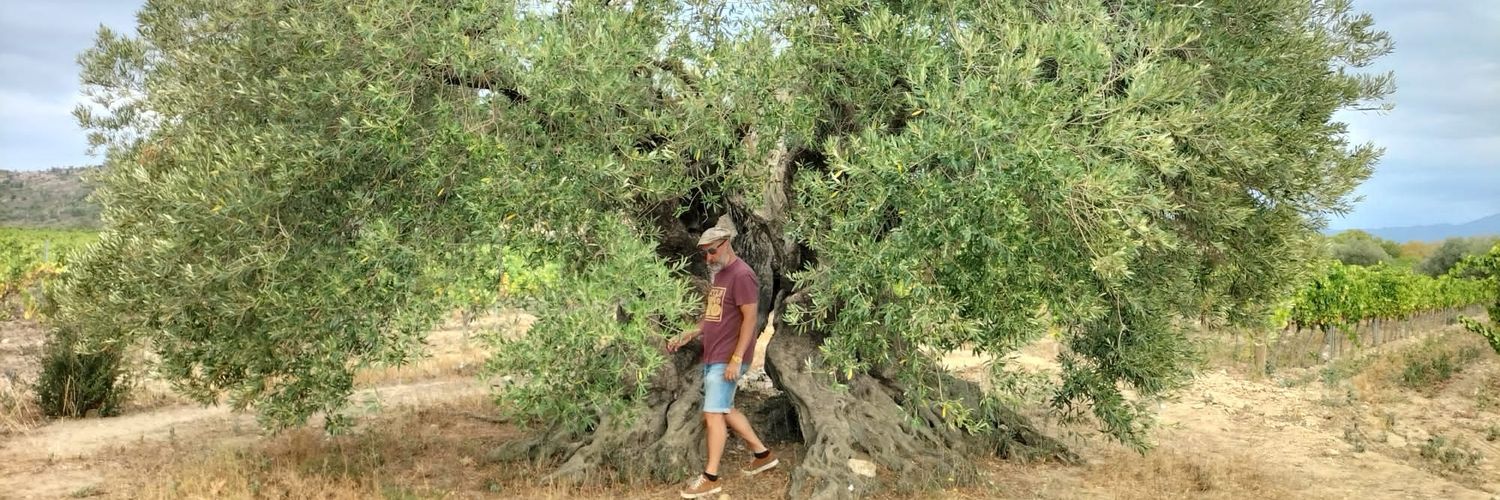 Jordi Floder 🦌 banner