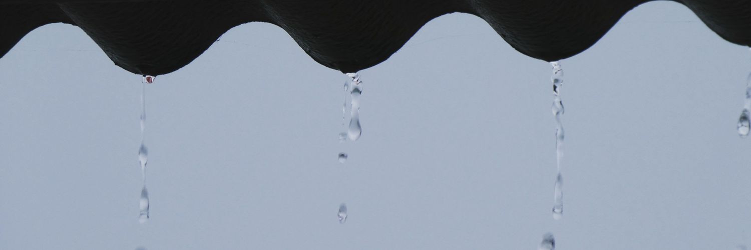 No Lycra Cycling banner