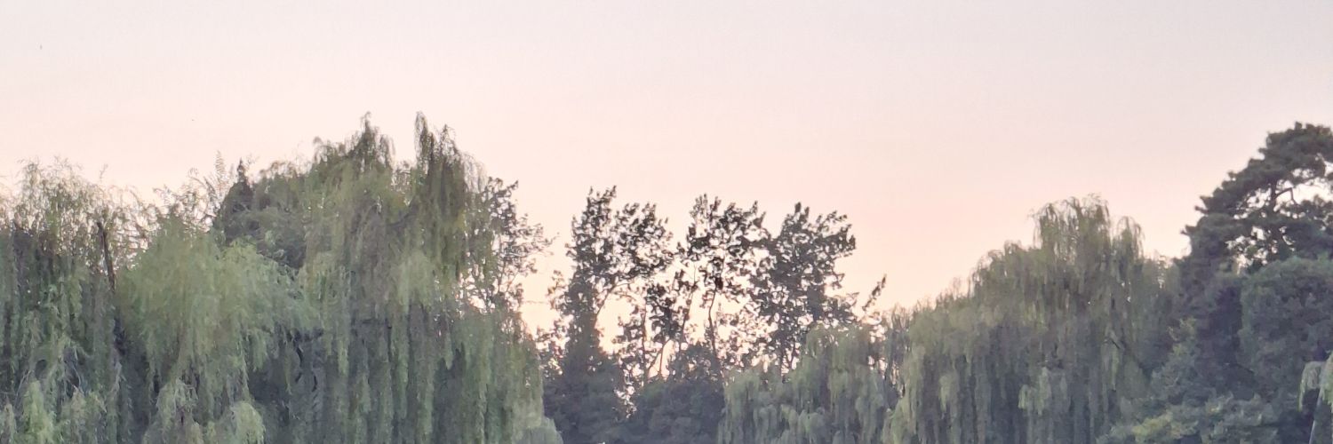 beeeeev__'s profile banner image