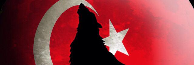OcakSertac's profile banner image