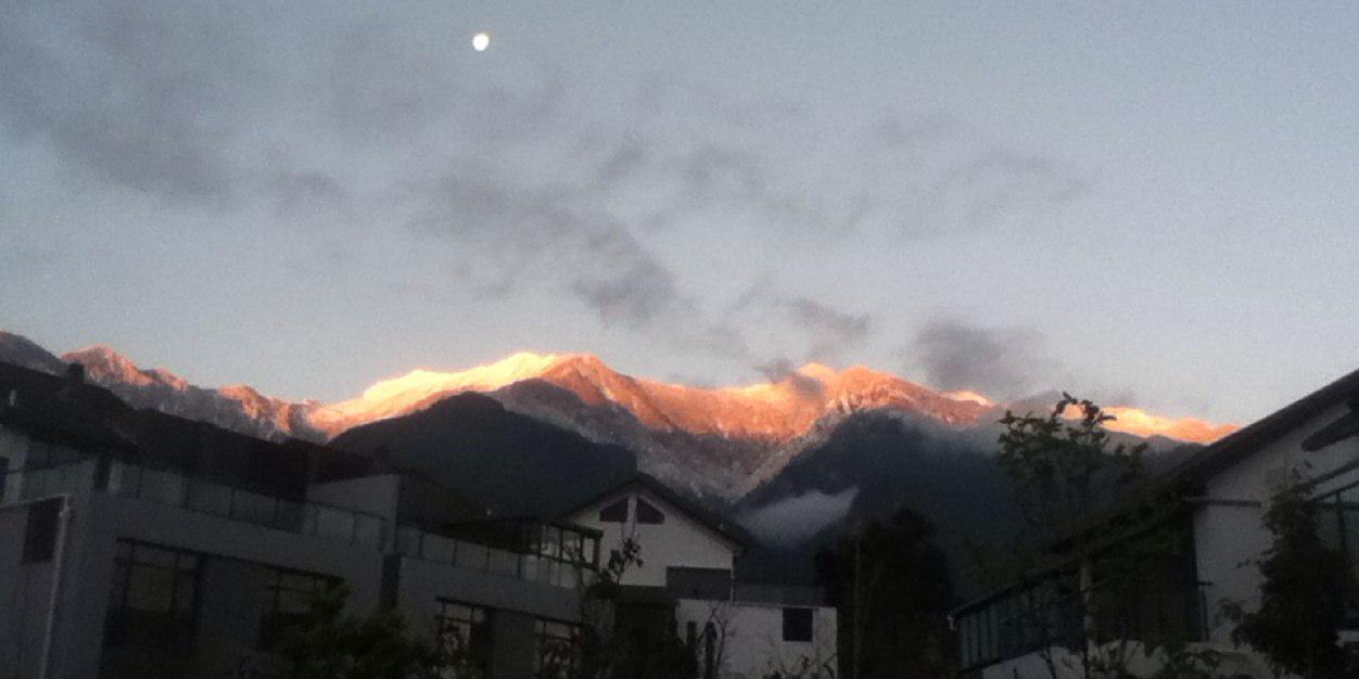 Peter Codington banner