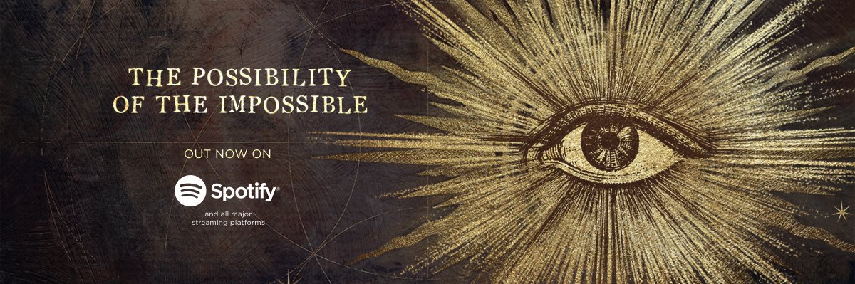 VIOLET_VENDETTA's profile banner image