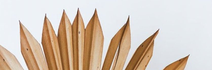 lisettgonzy's profile banner image