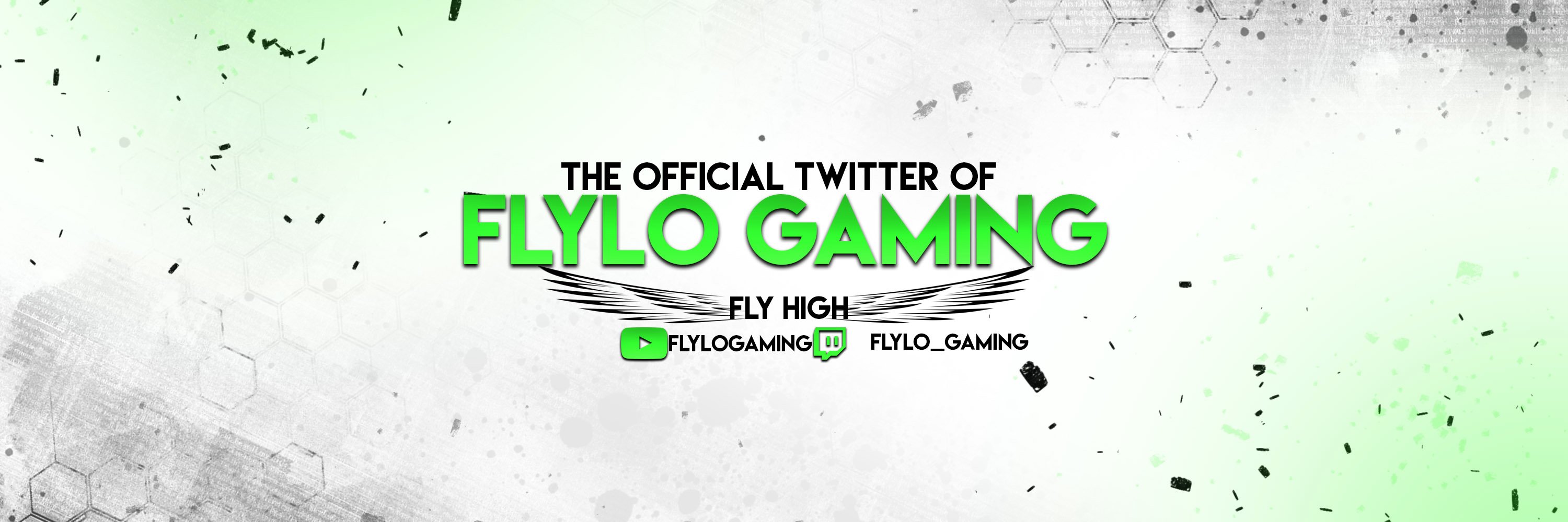 RealFLyLo's profile banner image