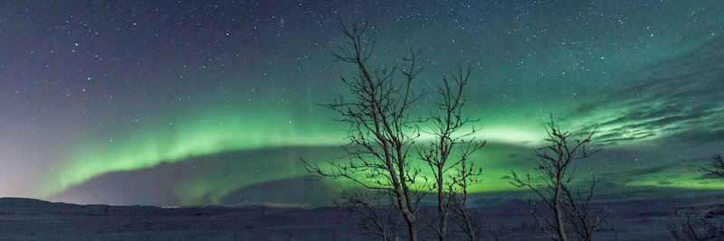 jamieacarter's profile banner image