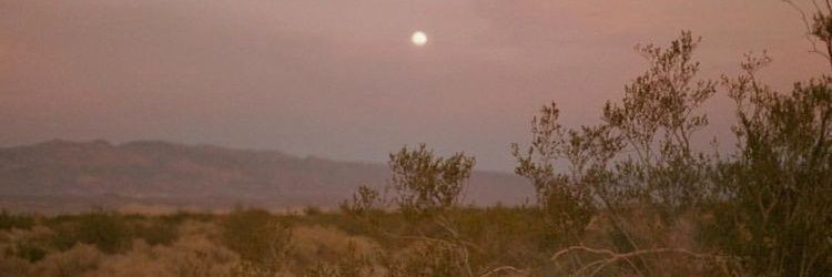 elymsb's profile banner image