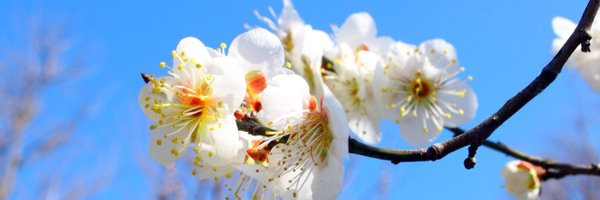 yourtheron Profile Banner