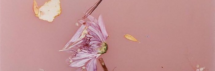 HarrycakesJDS's profile banner image