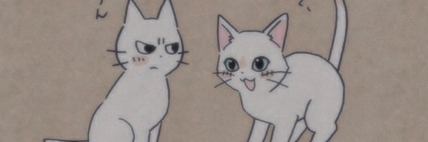 shutterhuis's profile banner image