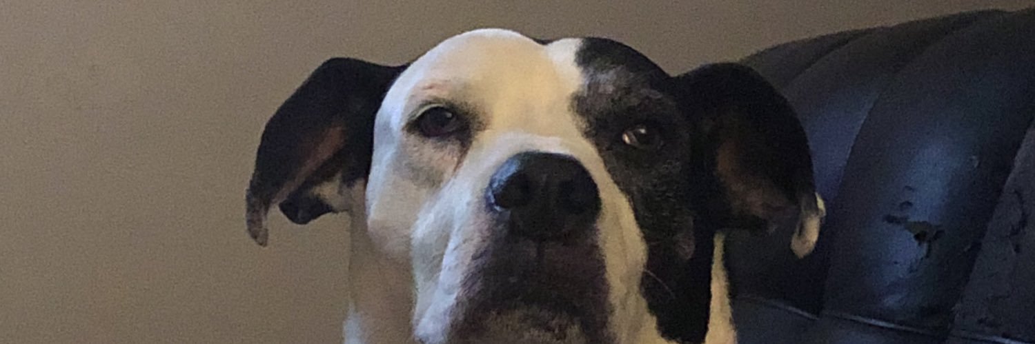 coolguywes1's profile banner image