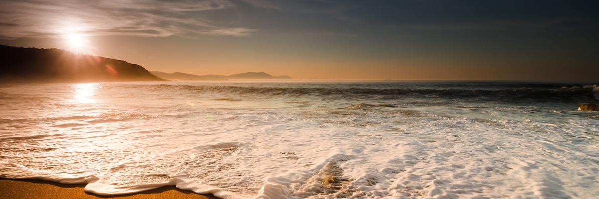 lim_cam's profile banner image