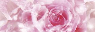 haime3110's profile banner image