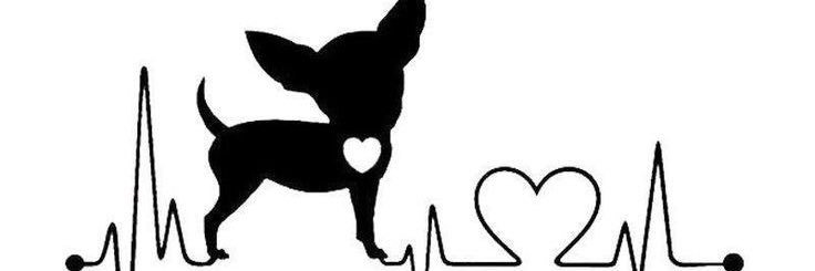 Carolien1967's profile banner image