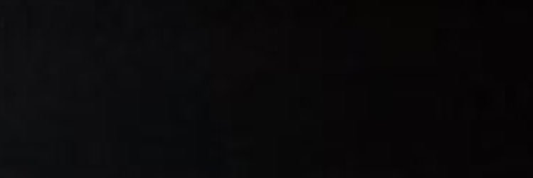 milesfromshawn's profile banner image