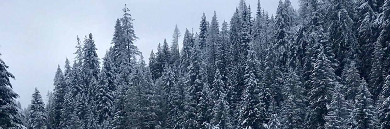 PorcayoDanny's profile banner image