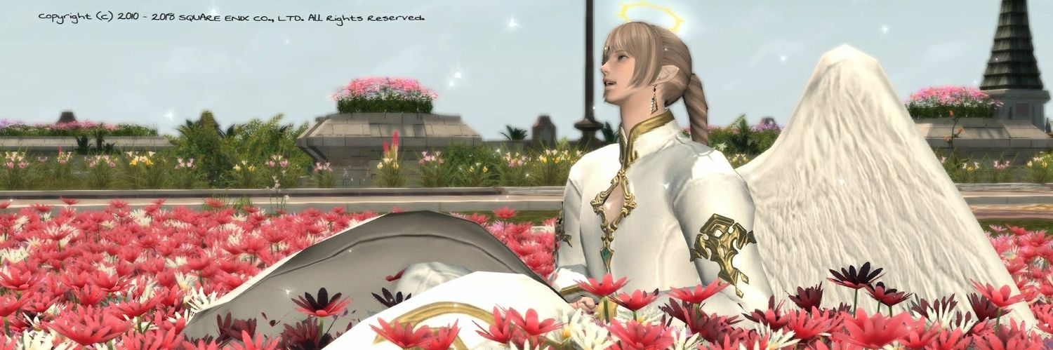 Gatto_Choco's profile banner image