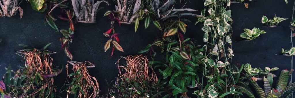 lauraisabel52's profile banner image