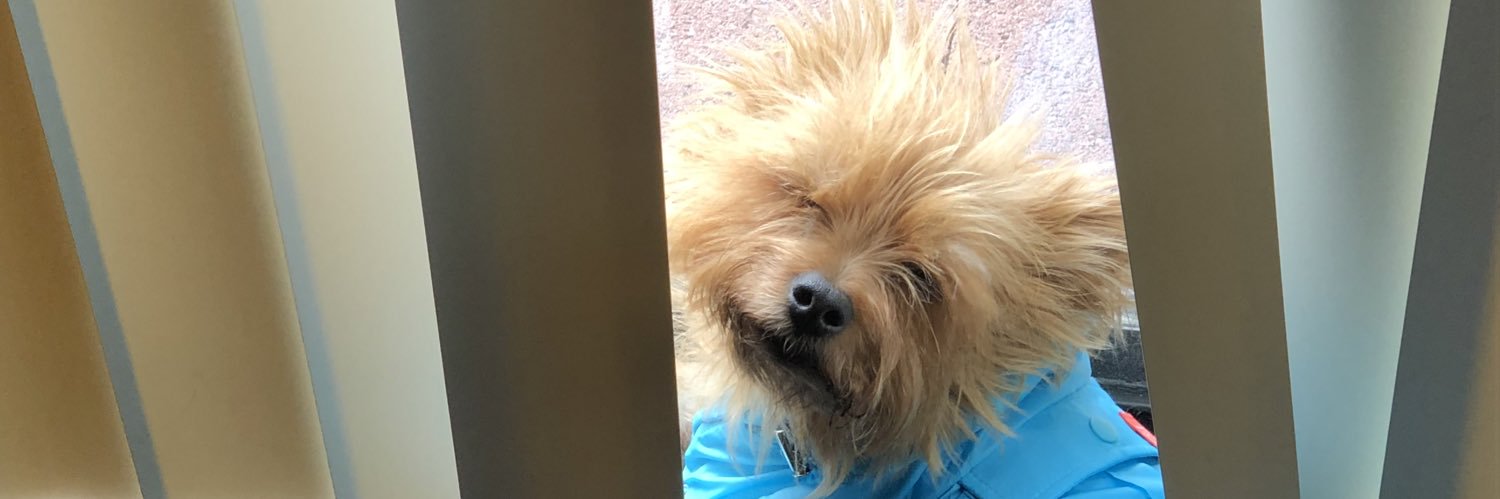 No_Julzz's profile banner image