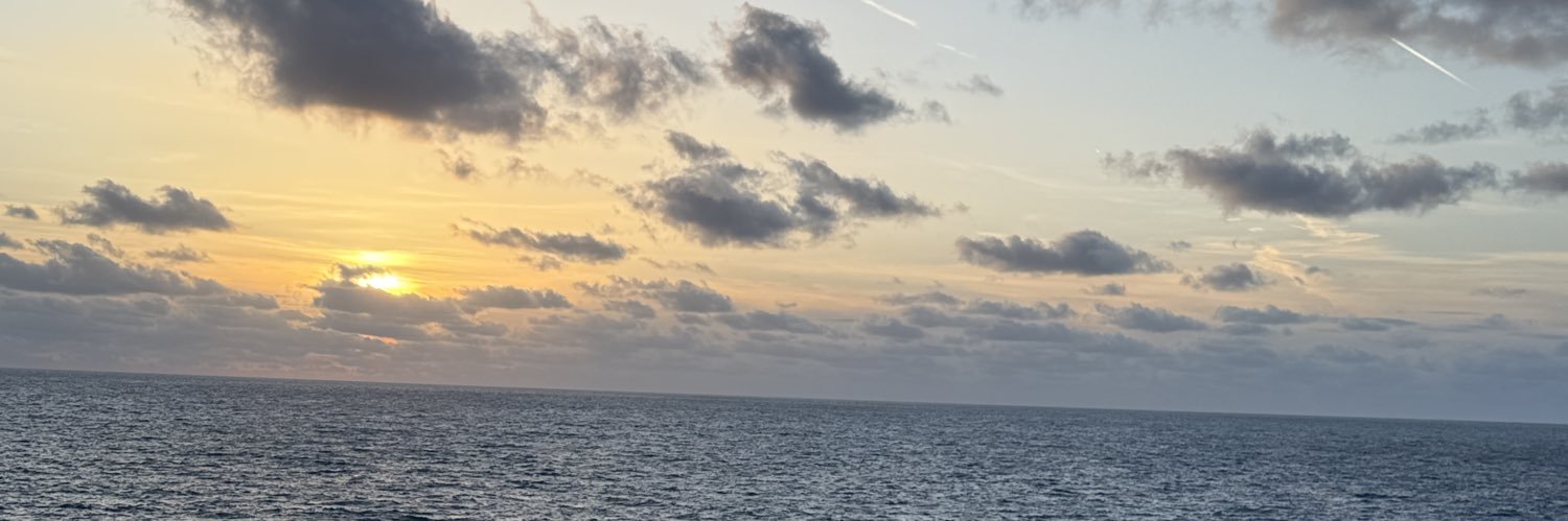 Paulaa banner
