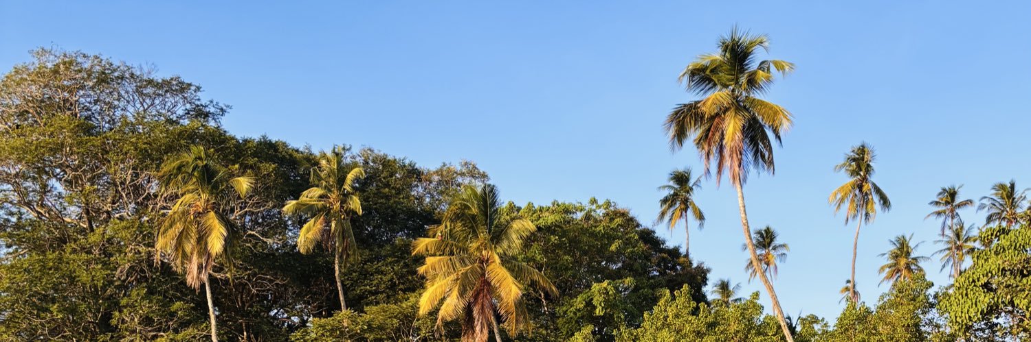 Hazelvolcom's profile banner image