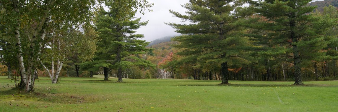Stephen Berkeley banner