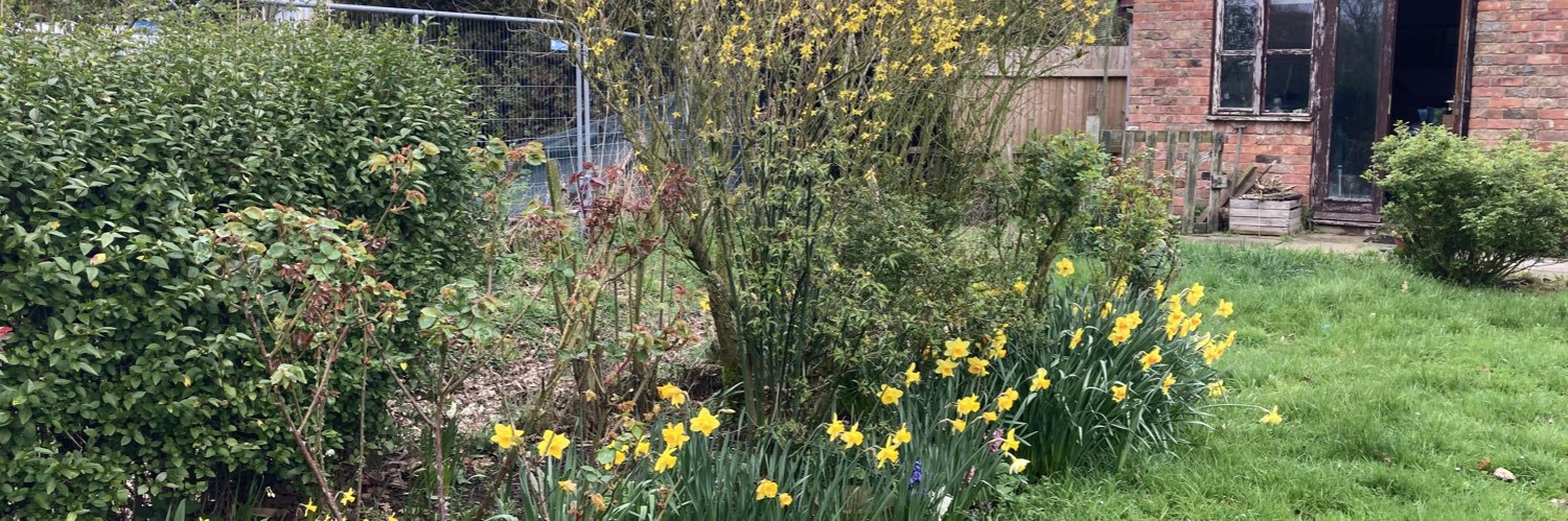 Frances Wilson banner