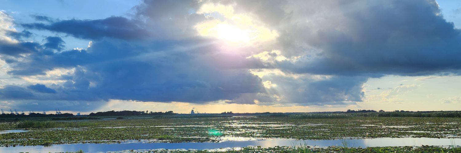 Caliblur's profile banner image
