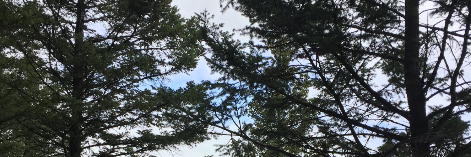 katiernelson34's profile banner image