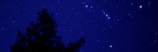 protexblue596's profile banner image