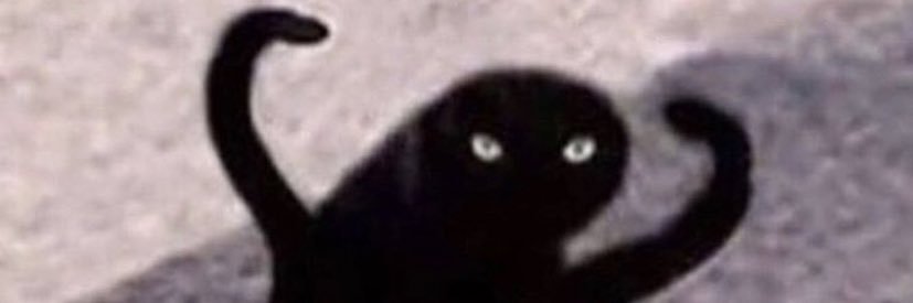 beccaacado's profile banner image
