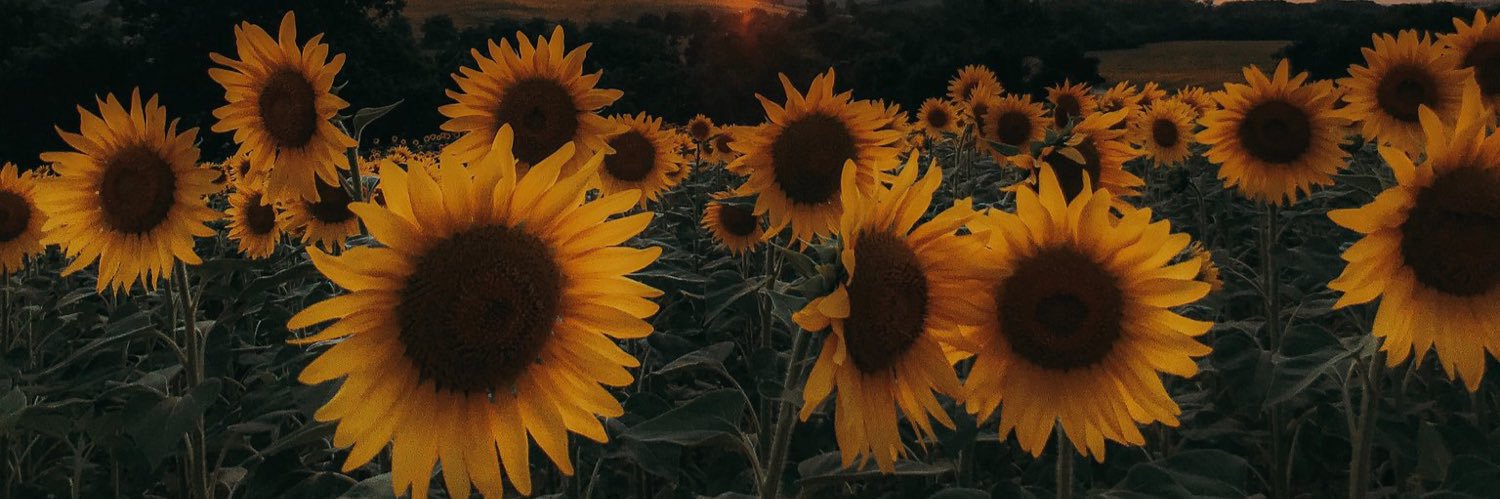 fritz_abby's profile banner image