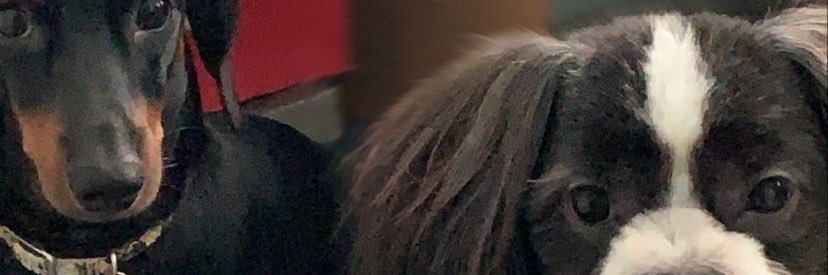 mikaelaamanuel's profile banner image