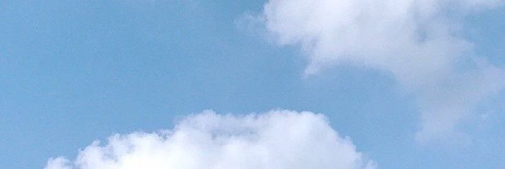 MayBeeFine🌾 banner