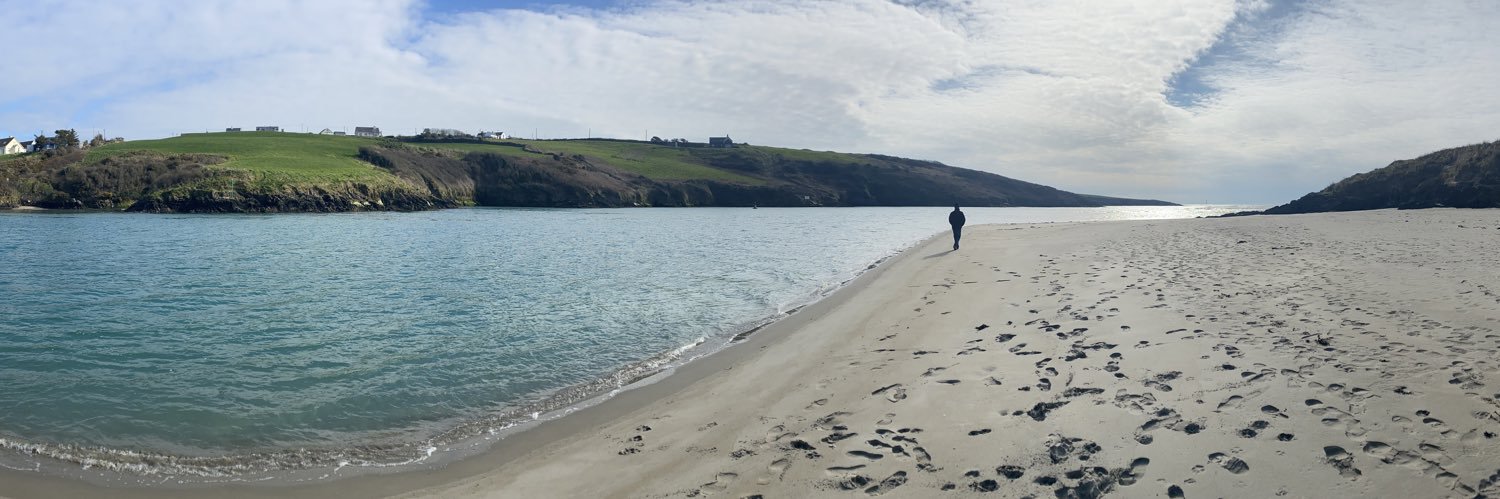 Nicola O Sullivan banner