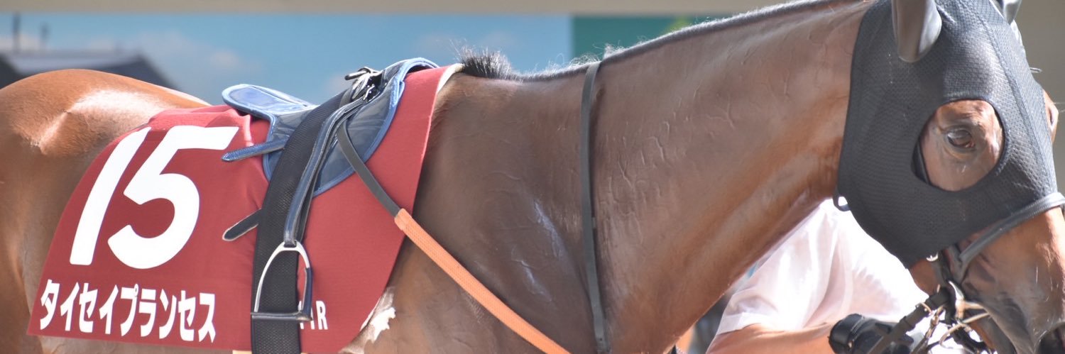 미유키 (みゆき) banner