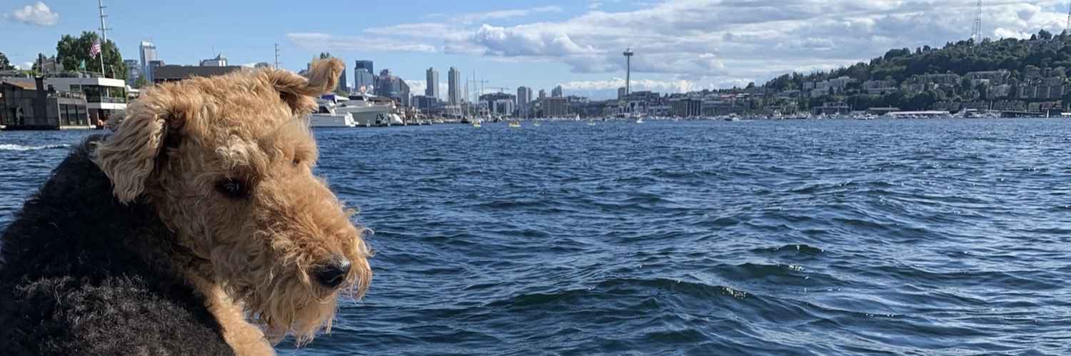 danielseliger's profile banner image