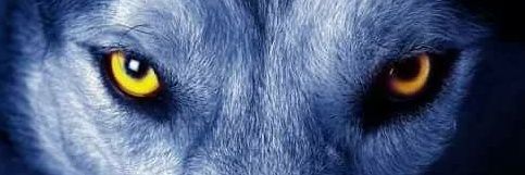 giox_x's profile banner image