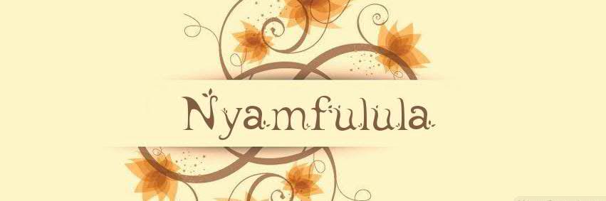 Nyamfulula's profile banner image