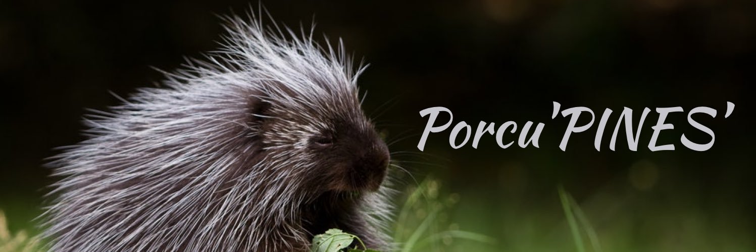 PiUpsilonPi's profile banner image