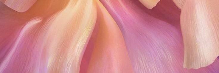 _legallyred's profile banner image