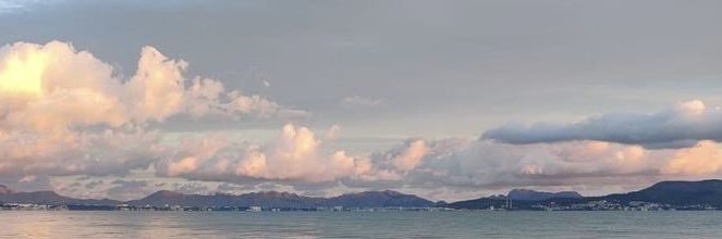 Wsmyh97's profile banner image