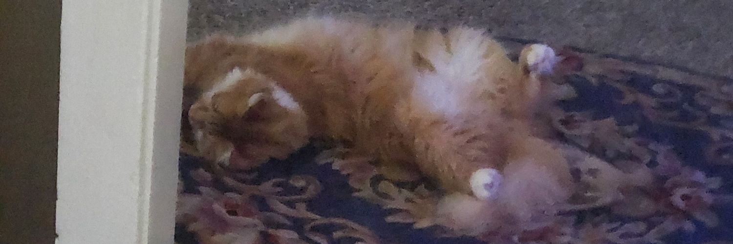 romcombaby's profile banner image